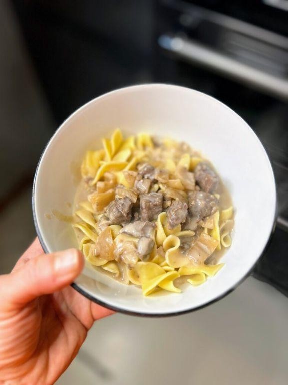 Canned Venison Stroganoff