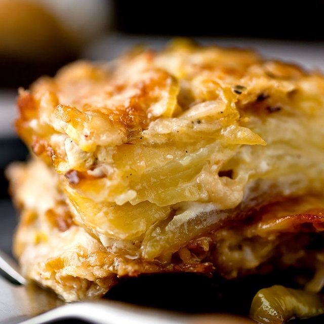 Creamy Potato and Leek Gratin