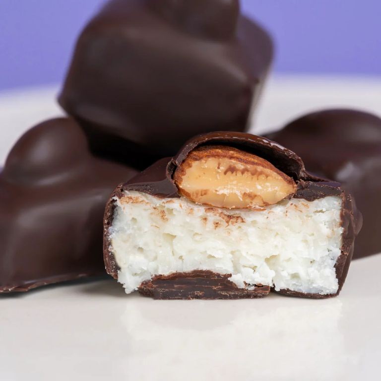 Dark Chocolate Almond Joy Bars