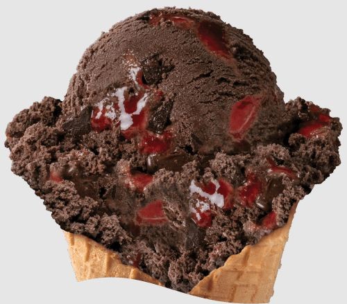Dark Chocolate Raspberry Truffle Ice Cream