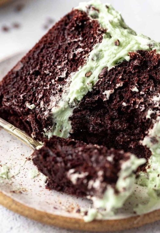 Gluten-Free Chocolate Mint Cake with Coconut Flour