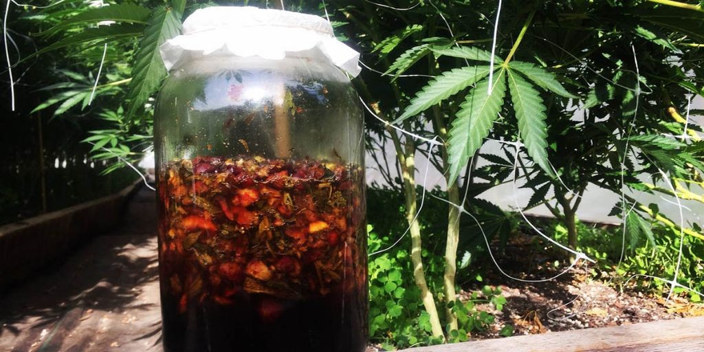 Jadam Fermented Plant Juice