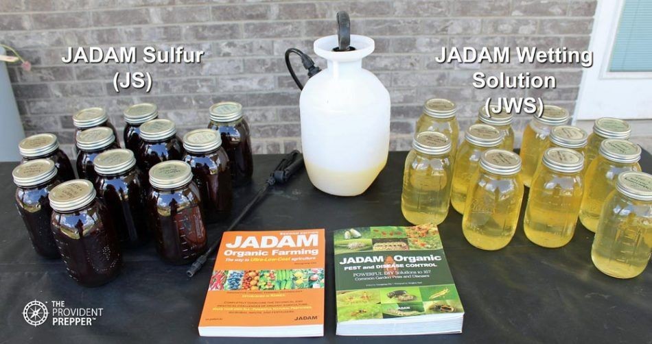 Jadam Natural Fungicide