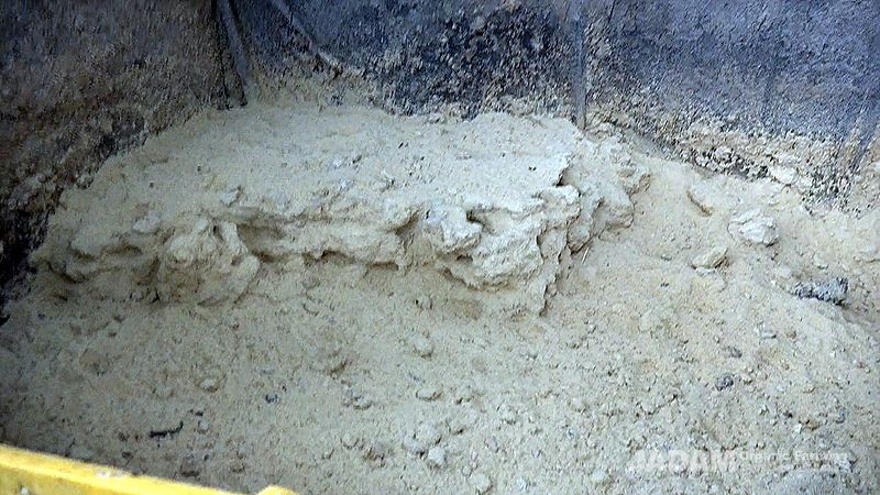Jadam Rice Bran Fermentation