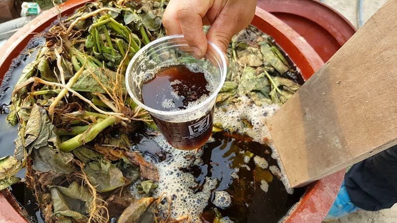 Jadam Seaweed Fertilizer