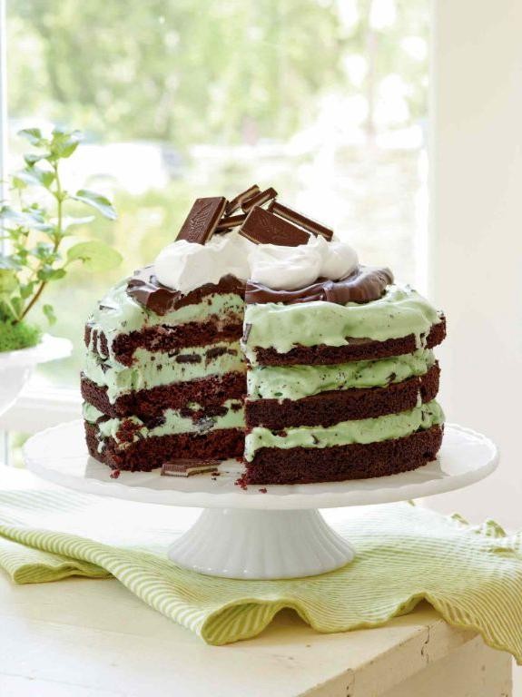 Mint Chocolate Chip Ice Cream Cake