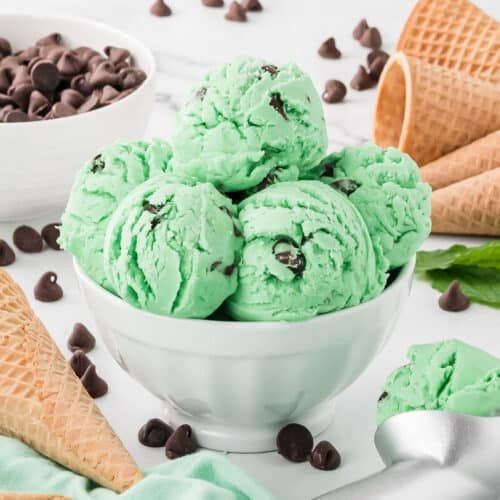 Mint Chocolate Chip Ice Cream