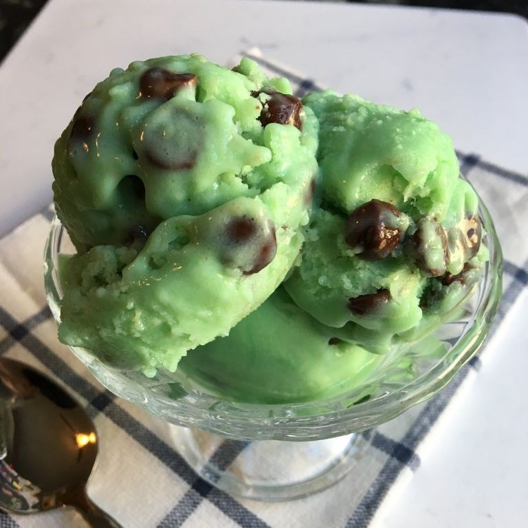 Mint Chocolate Chip Protein Ice Cream