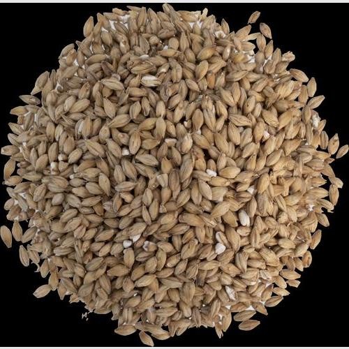 Peated Barley Scotch-Style Mash