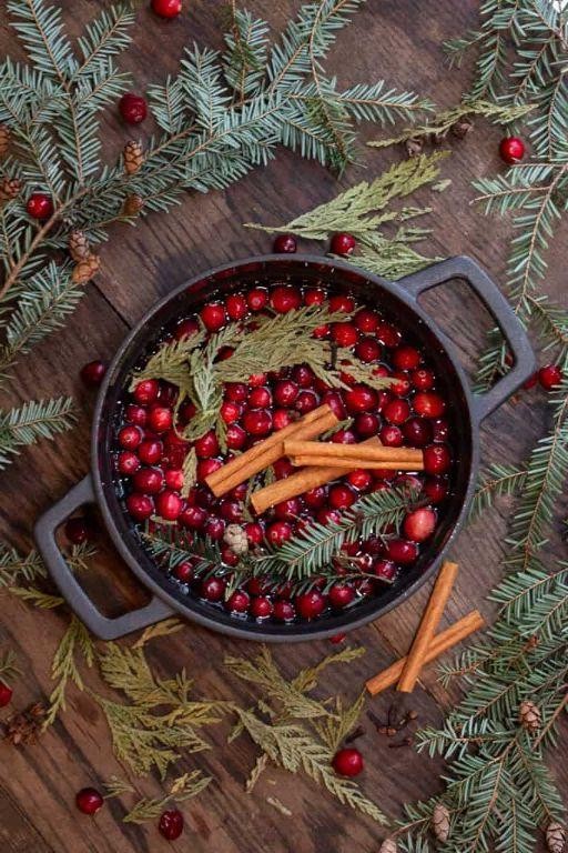 Pine Forest Winter Simmer Pot