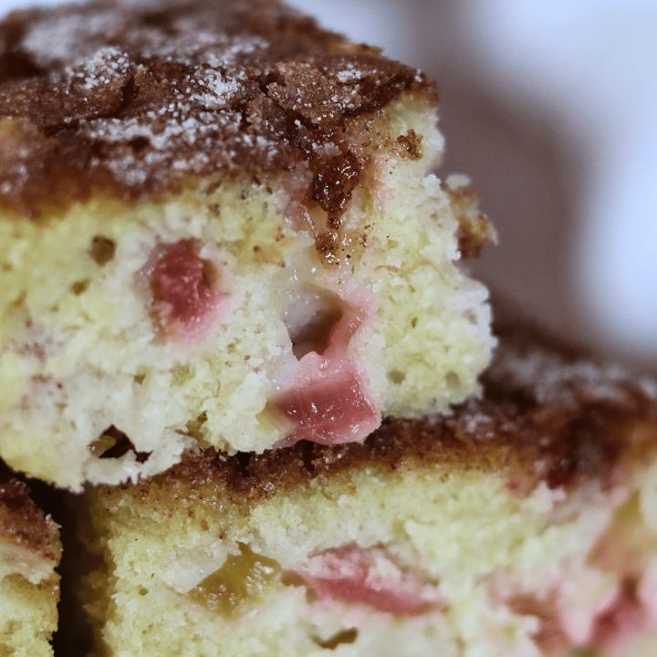 Strawberry Rhubarb Sourdough Cake