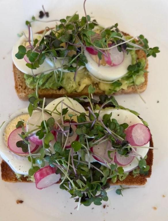 Whole grain avocado toast with microgreens