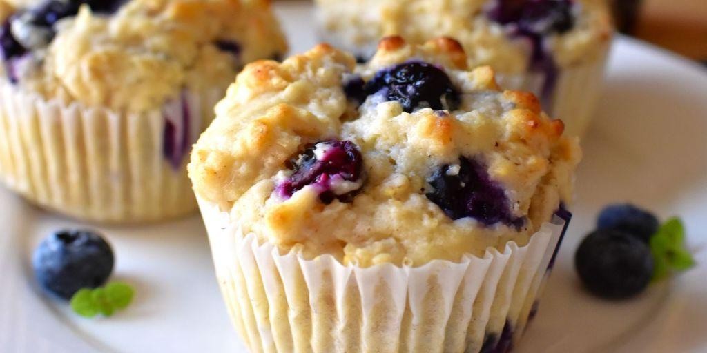Wild Blueberry Oatmeal Muffins