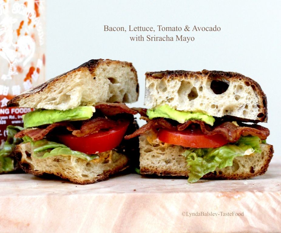 20 Decadent Gourmet Sandwich Recipes for Foodies