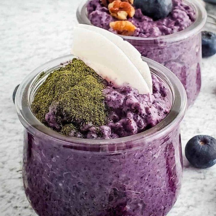 Blueberry Chia Seed Pudding with Coconut Milk