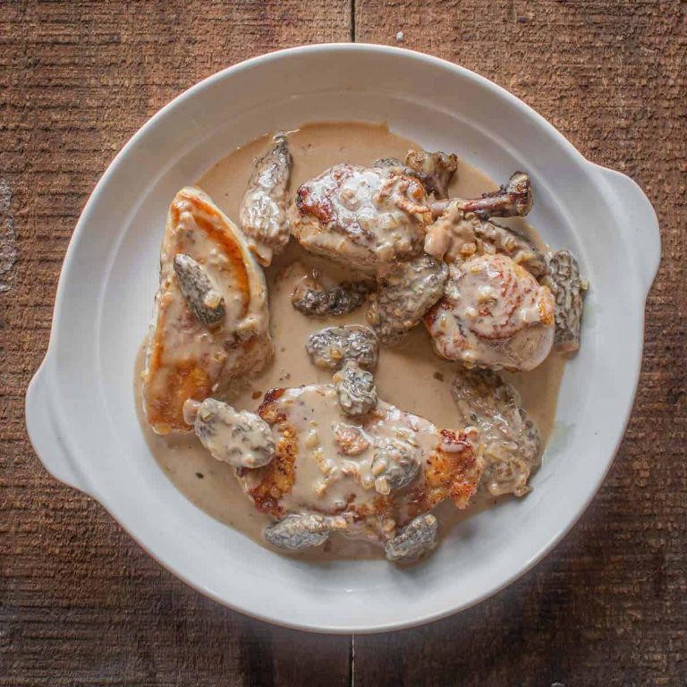 Braised Chicken with Dried Morel Mushrooms