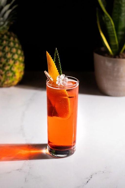 Campari Pineapple Punch