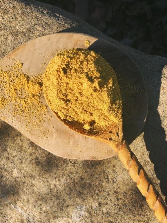 Cordyceps Golden Milk Latte