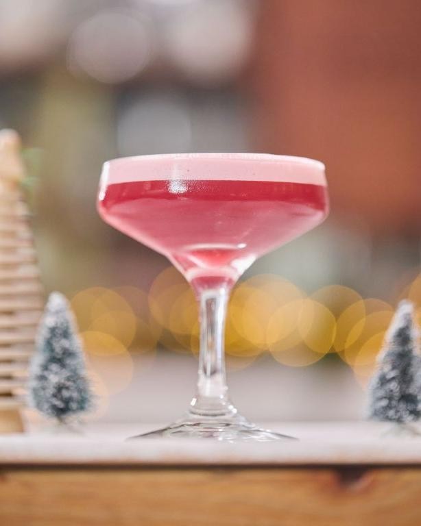 Cranberry Vodka Sour