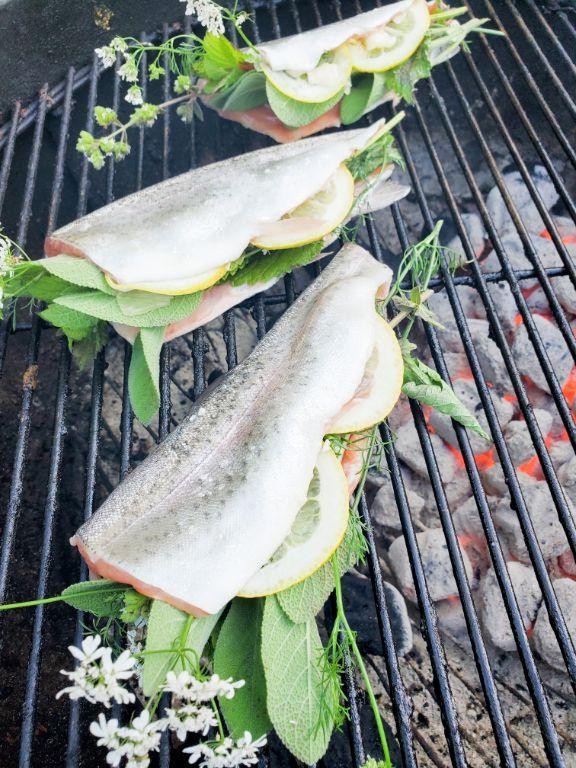 Grilled Rainbow Trout with Herbs