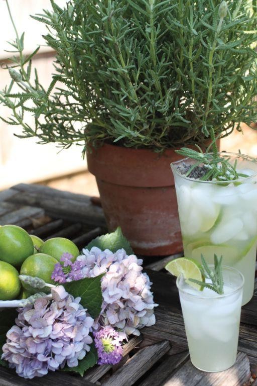 Herbal Lavender Limeade