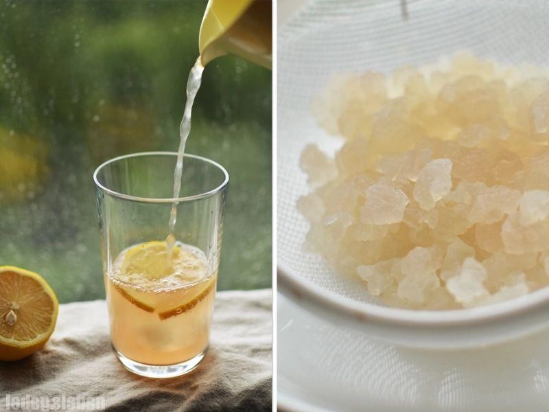 Hibiscus Limeade Water Kefir