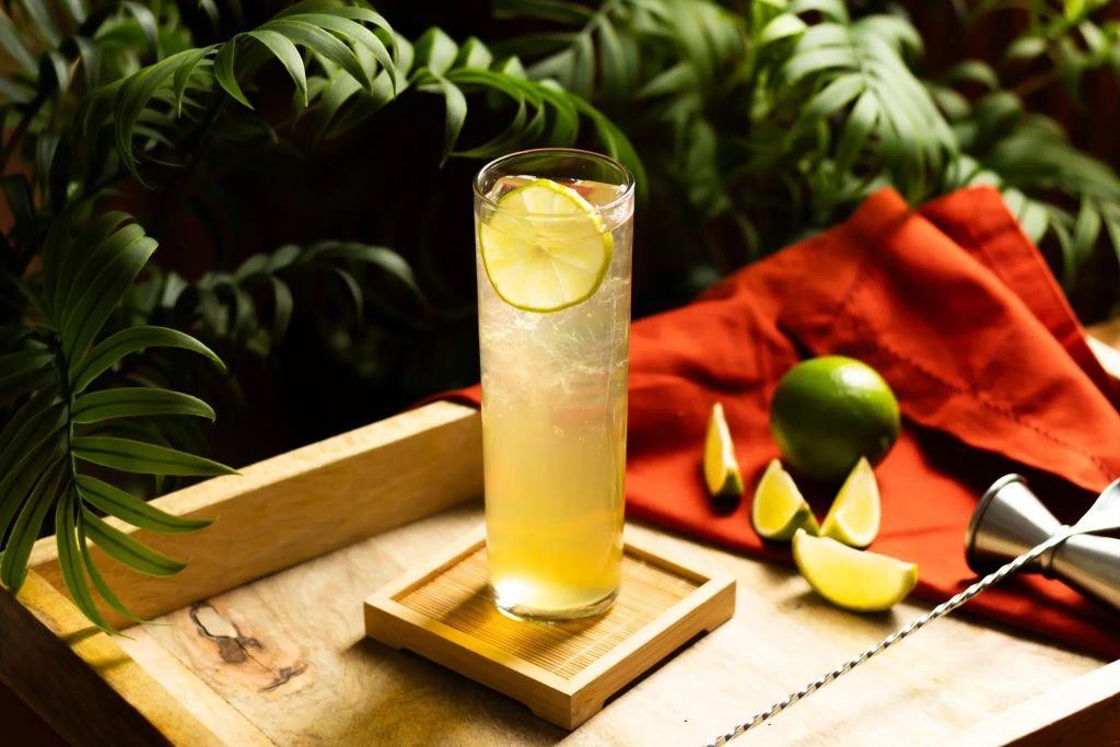 Mezcal Collins with Lemon and Soda