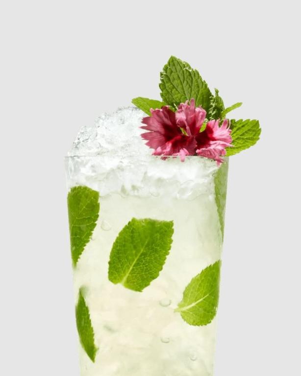 St Germain Mojito