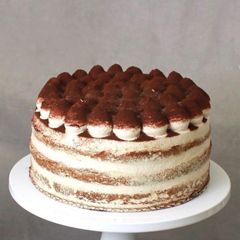 Tiramisu Cake Doctor Elegance