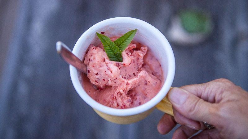 Wild Plum Sorbet with Mint